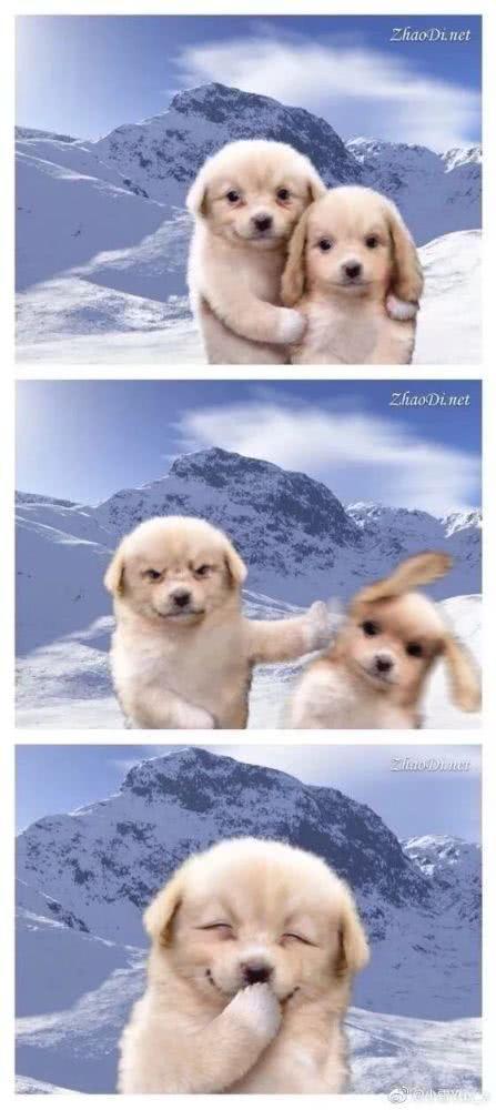 鼻涕眼泪的搞笑图片,一把眼泪一把鼻涕的搞笑图片