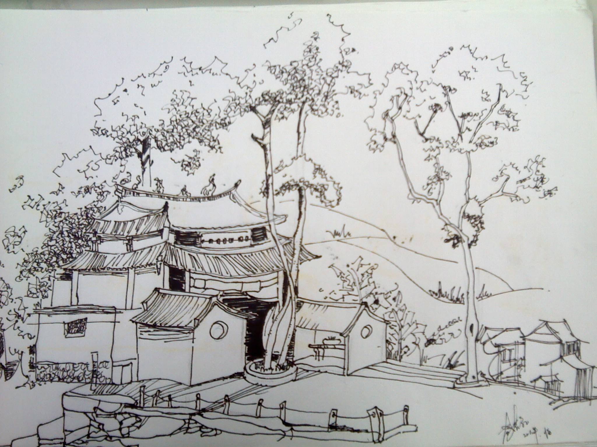 树大招风的故事,树大招风故事完整版