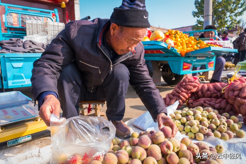 回家创业小本生意做什么合适,回农村创业的小本生意有哪些