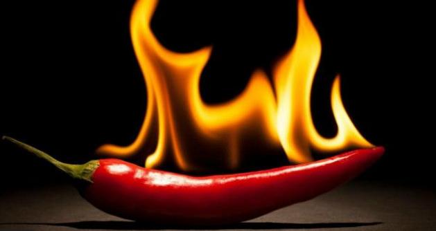 探访中小型公司韩国,探访韩国加工厂