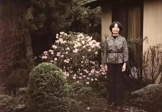 叶嘉莹岁月从不败美人,叶嘉莹诗词之美最经典的一句话