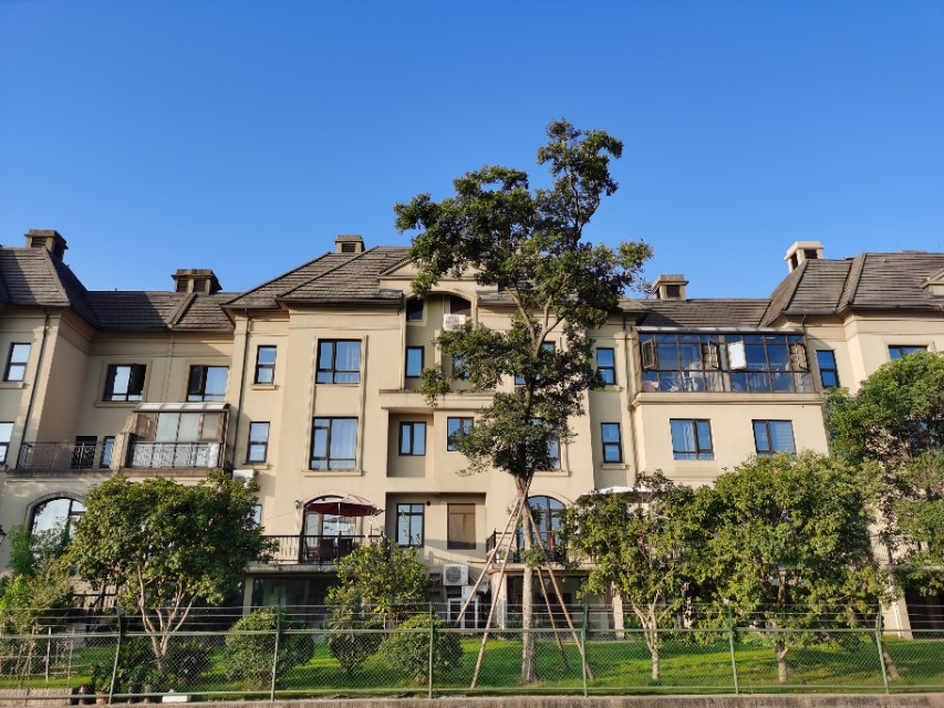 慈溪龙山镇找工作招聘最新信息,慈溪龙山镇律师