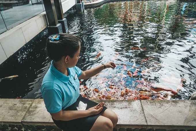 印尼巴丹岛和民丹岛哪个好玩,新加坡印尼岛屿攻略