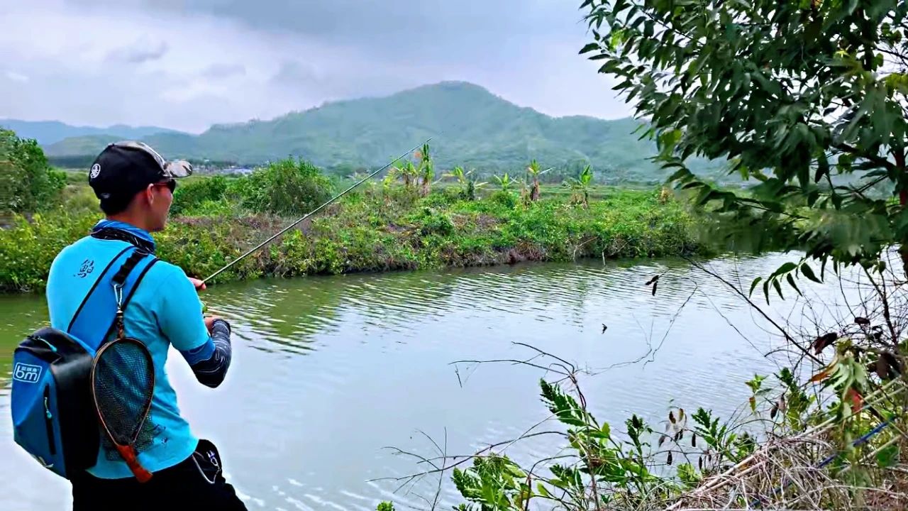 蓝鲫微物,微物蓝鲫用多重的铅头钩