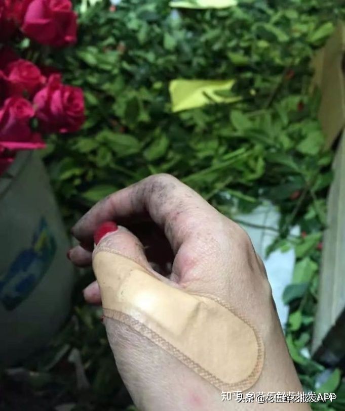 花艺师找工作如何分辨花店好不好,花艺师培训班零基础免费学开花店