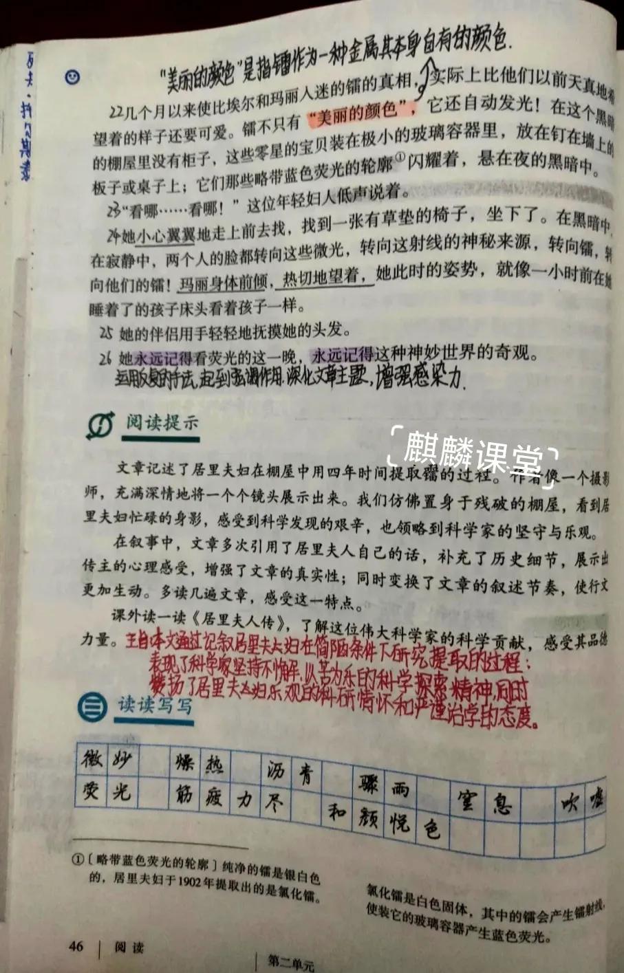 八年级上册第九课美丽的颜色笔记,初二语文上册9课美丽的颜色预习