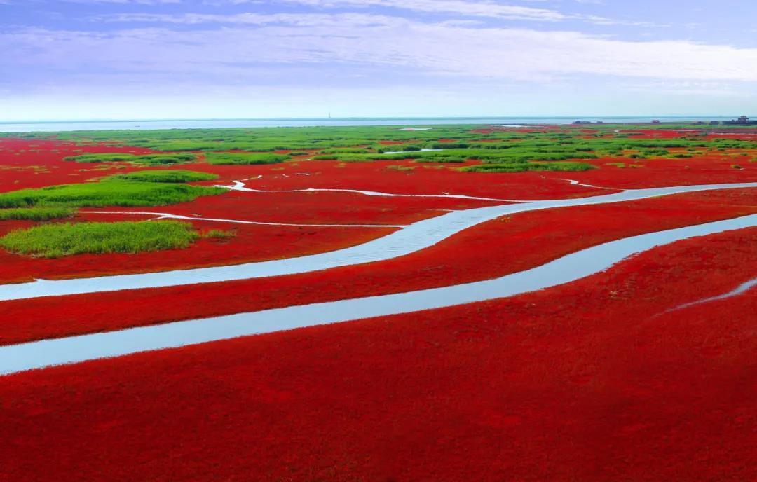 沈阳日报12月13日,沈阳新闻9月16日