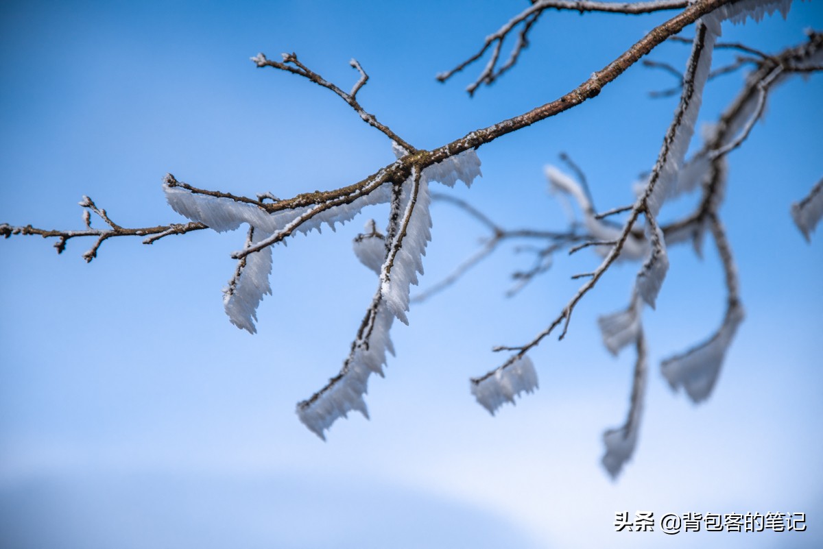 安吉云上草原滑雪真实照片,安吉云上草原滑雪场有多少度