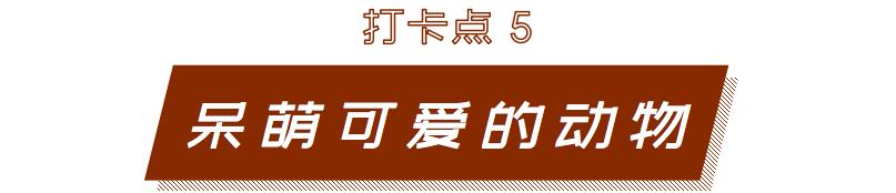 深圳宝安喝茶的世外桃源,宝安西乡世外桃源