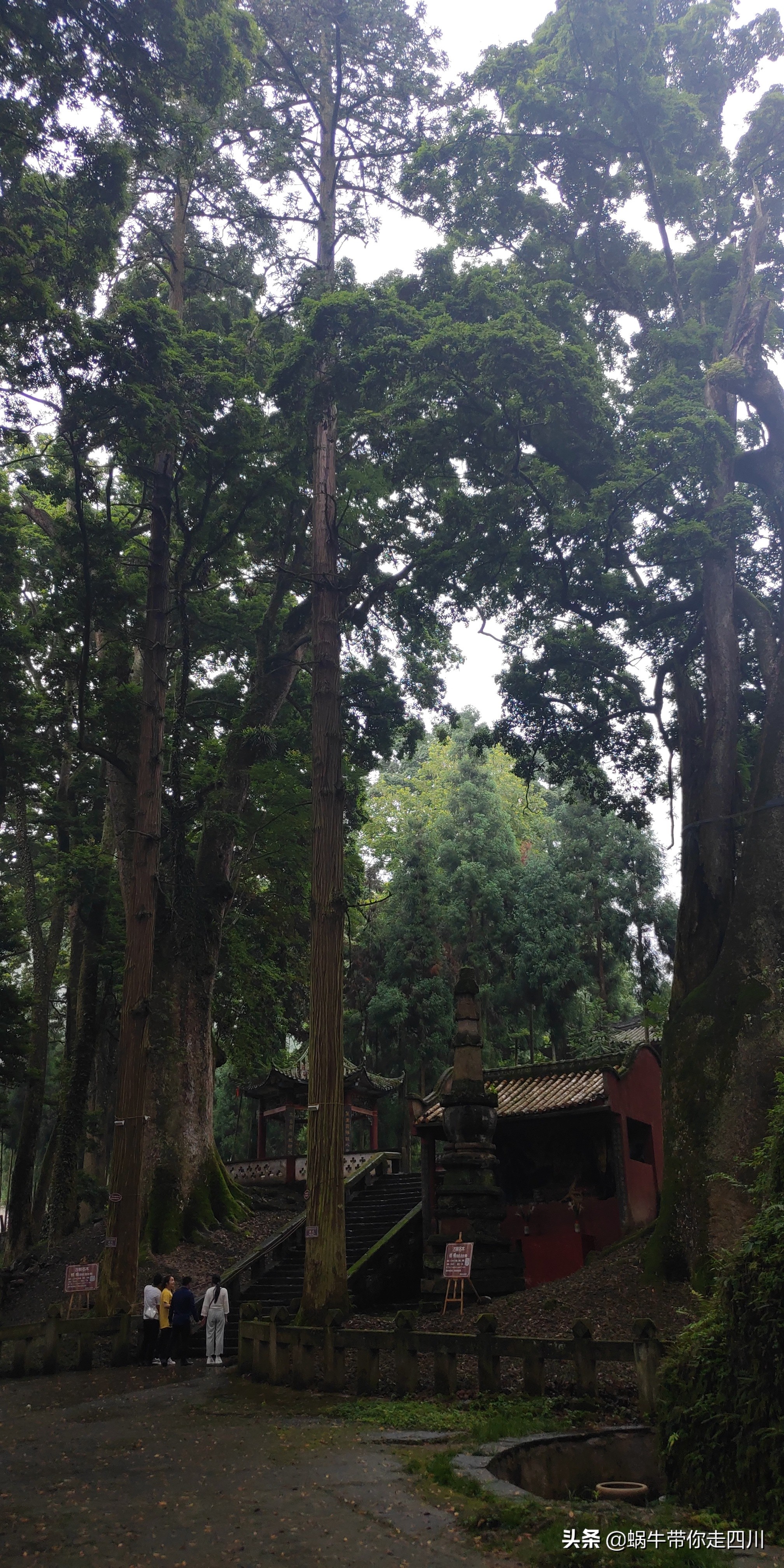 四川成都一家四口骑行游西藏,成都一家三口八日游