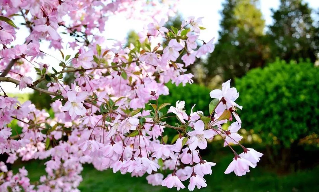 晋城司徒小镇异域风情,晋城皇城相府和司徒小镇