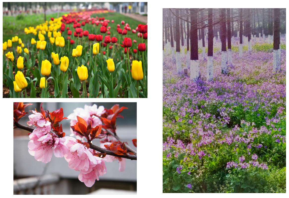 南京工业大学校招好吗,南京工业大学今年自招多少人