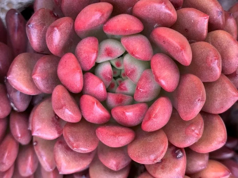 禁足的日子收获颇多,禁足