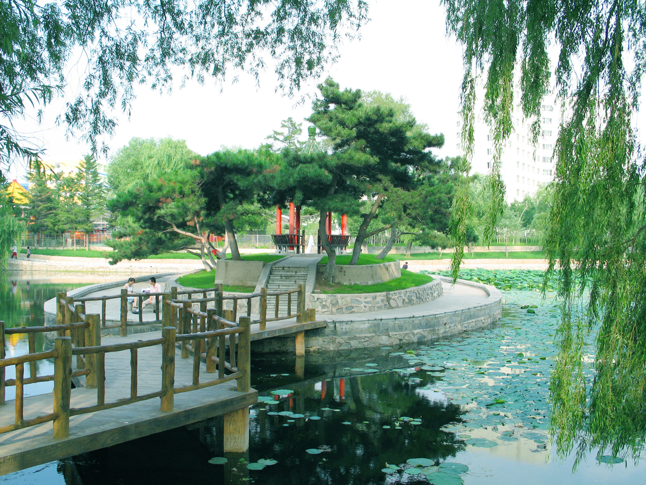 每日一校山东大学,每日一校大学详解