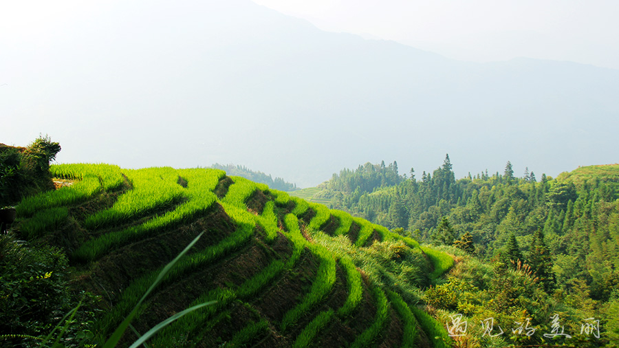 龙脊梯田风景区被破坏过吗,桂林龙脊梯田最全攻略
