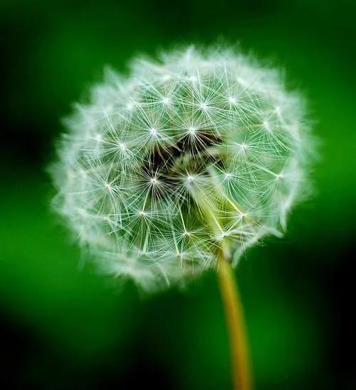 如何确定目标是自己想要的目标,确定了目标想做什么