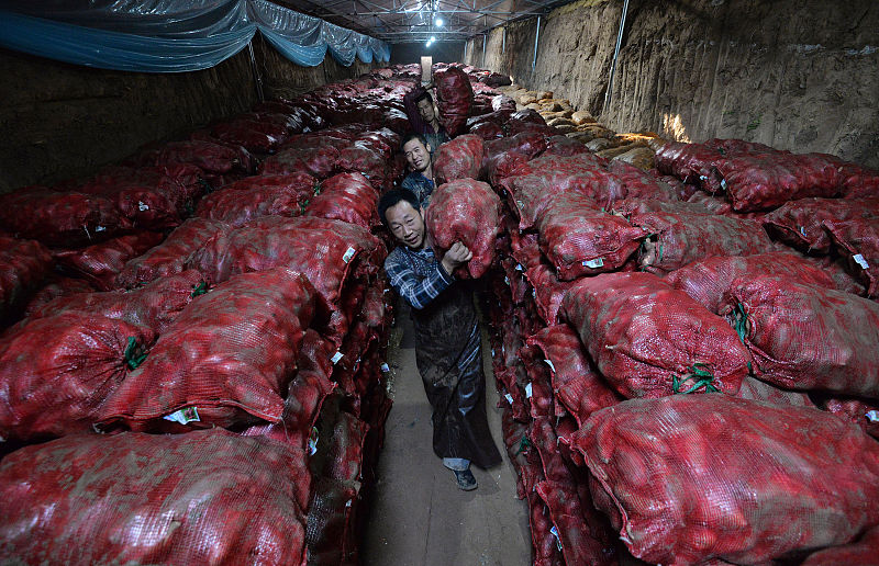 红薯窖藏有红薯怎么消毒,红薯收获和储存视频