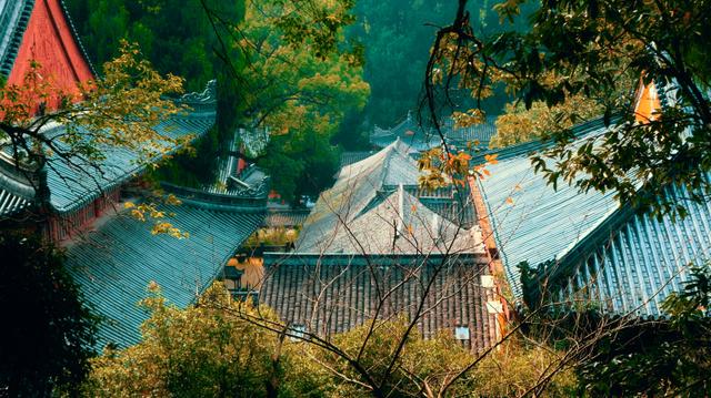 浙江这座5*级A**寺院景区，让我这俗人第一次有了想要“出家”的冲动