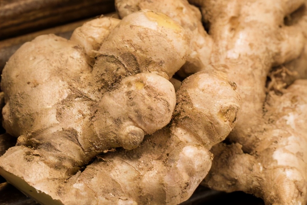 种植十大紧缺药材有哪些种类,种植中药材哪些药材前景好南方