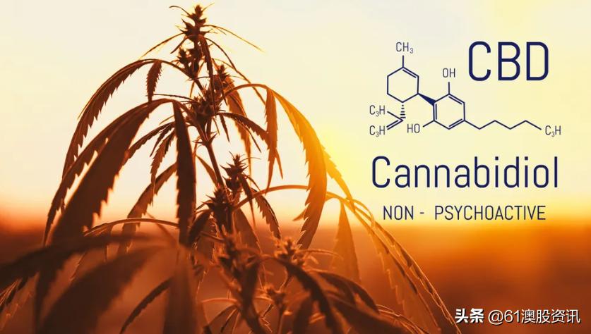 全球工业*麻大**行业简况