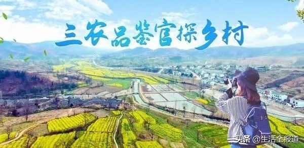 三农青年创业,返乡创业青年记录真实生活三农