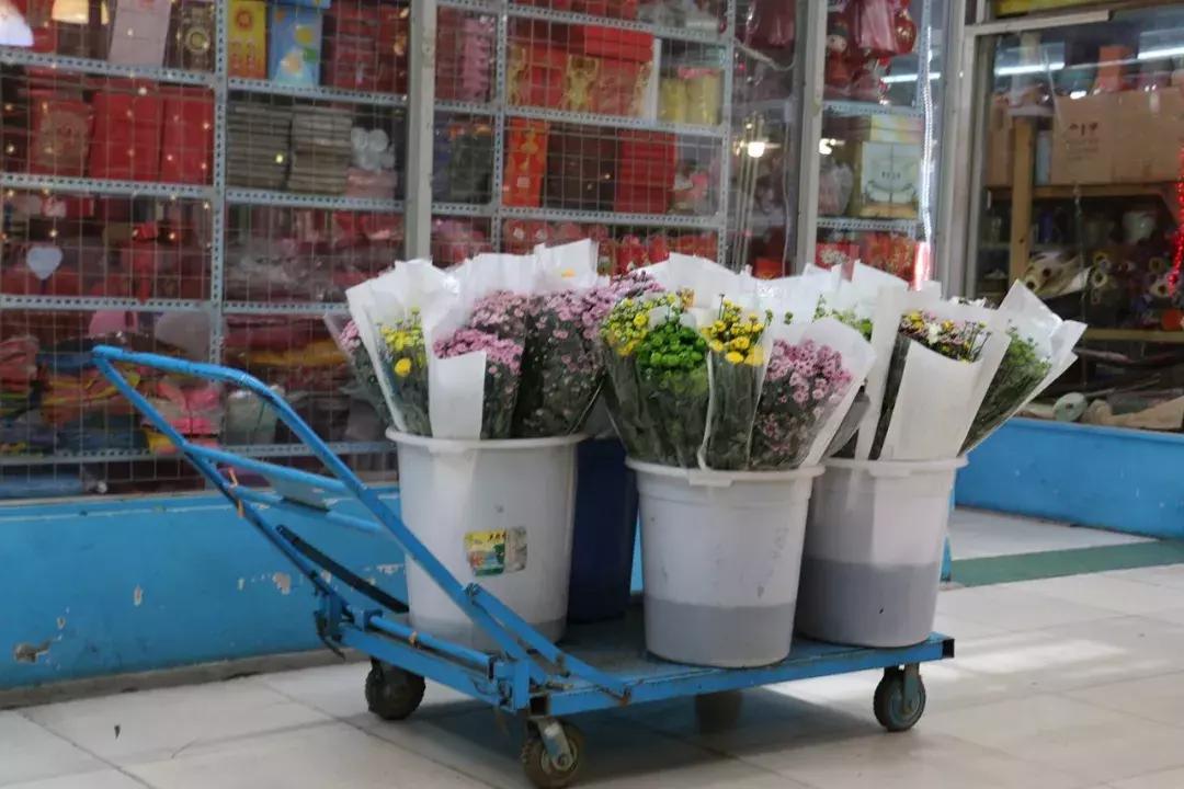 郑州三大花卉市场都是哪个,郑州哪个花卉市场最全