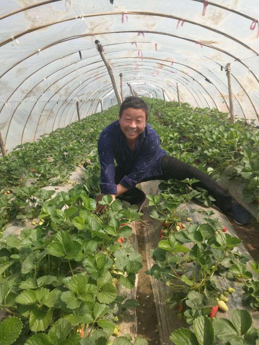 堪称样板！这家合作社有“独门秘笈”，还是有“高人指点”