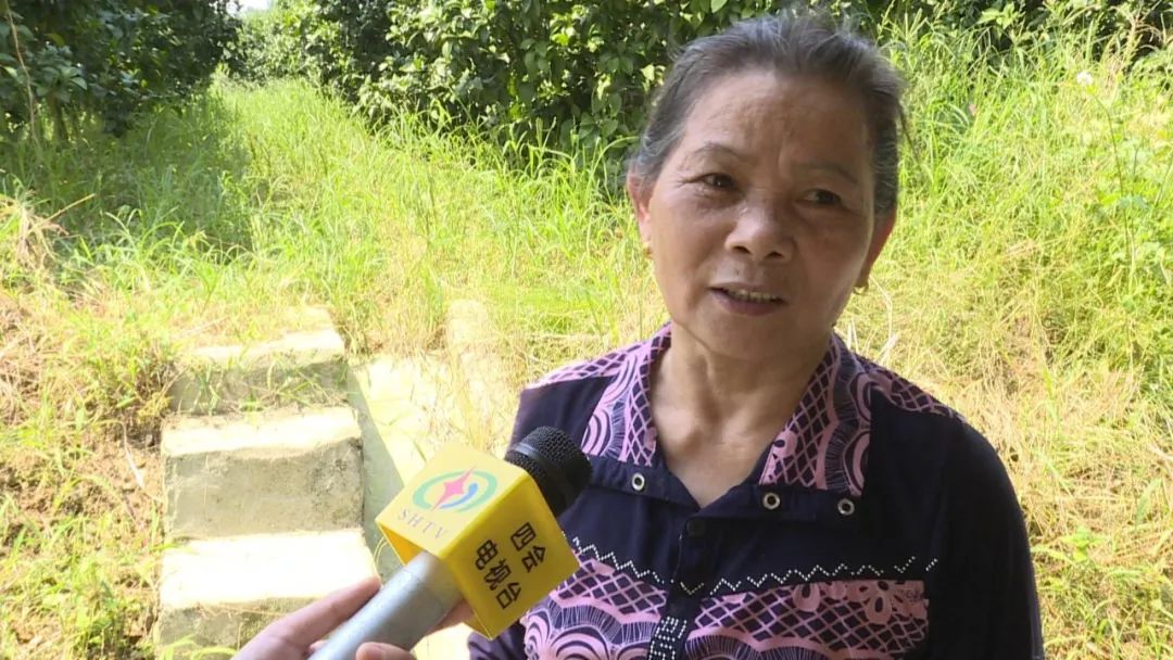 广东复种沙糖桔基地,沙糖桔种植基地规划图