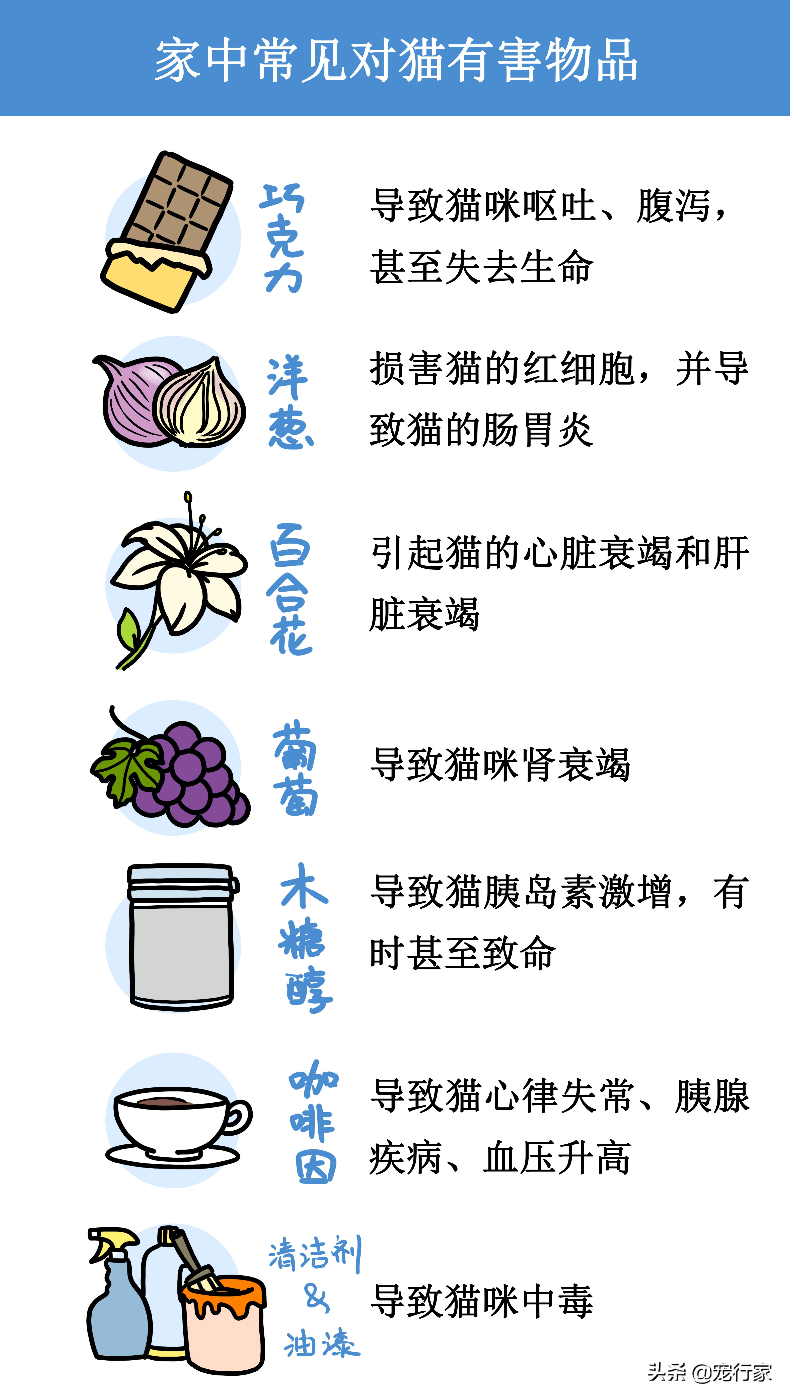 幼猫怎么喂养注意事项,幼猫喂养技巧和方法