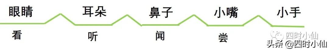 孩子写作文思路乱用思维导图,思维导图教小孩写作文