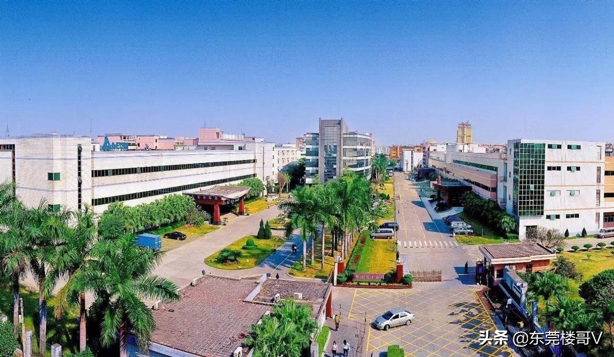 2020东莞房价大涨还值得入手吗,东莞石碣房价为什么高