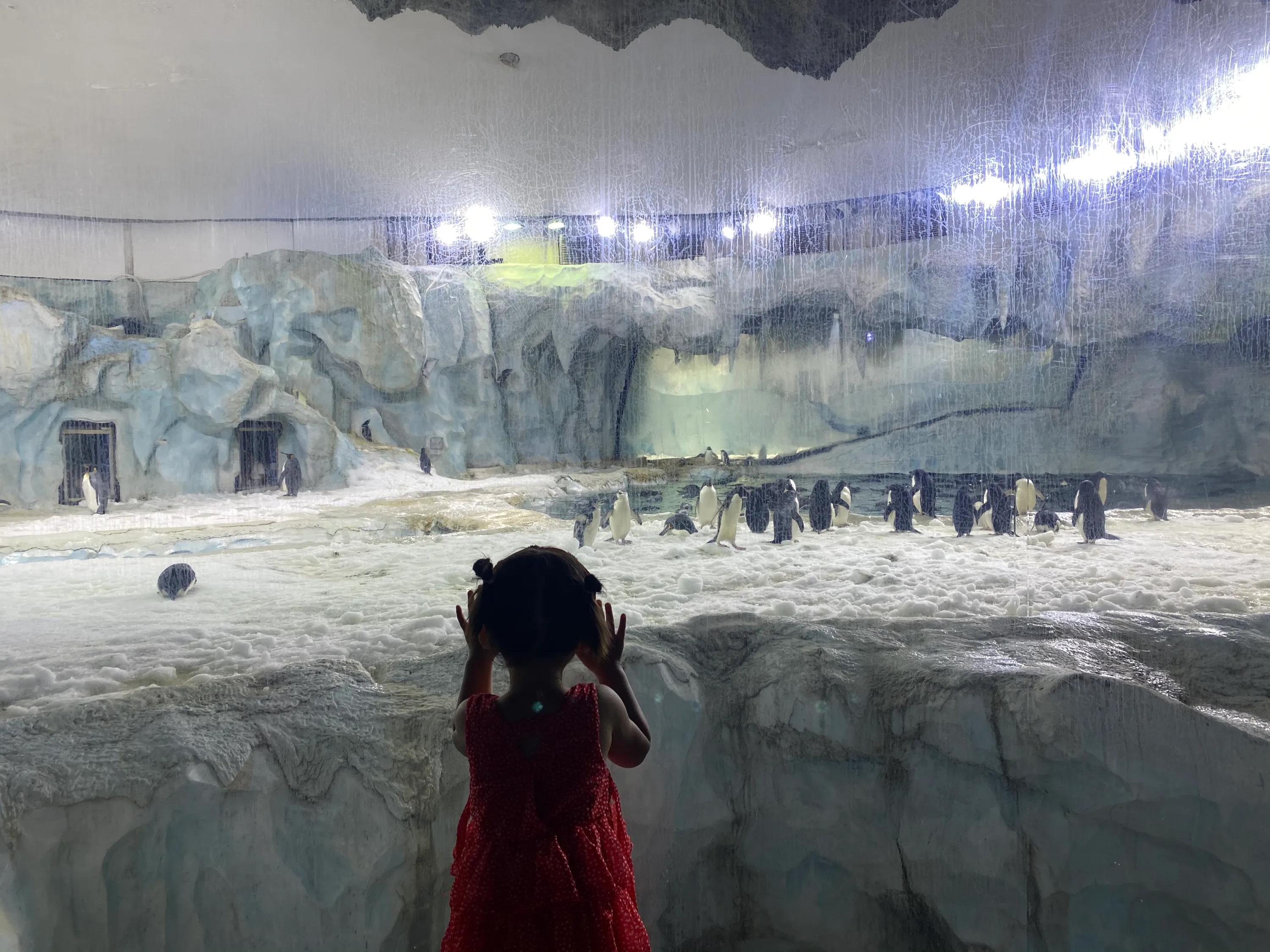 超详细珠海长隆海洋王国攻略,珠海长隆海洋王国攻略最新图片