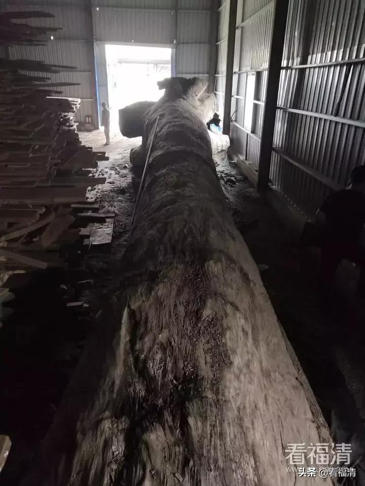 福清老板拥有的一根破烂木头，能值600万？