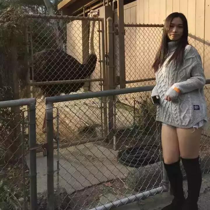 当身材与脸型不匹配时,身材和脸蛋不匹配是什么体验