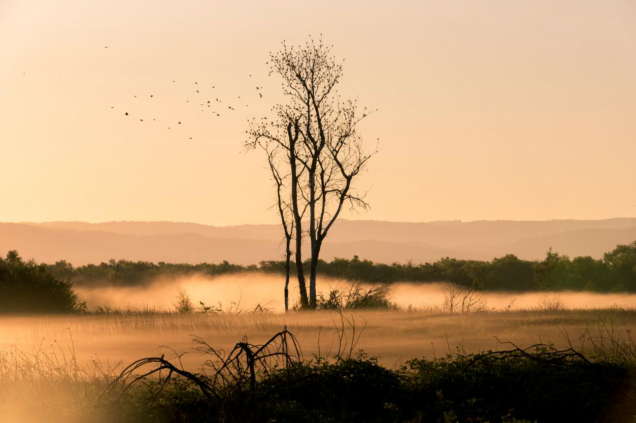 疫情下的巴西，天堂与地狱仅一街之隔，同在耶稣庇佑下的两种人生