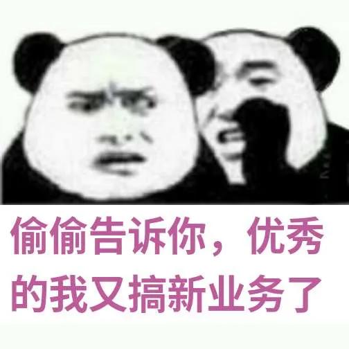 健身补剂指南书范文,健身补剂深度分析