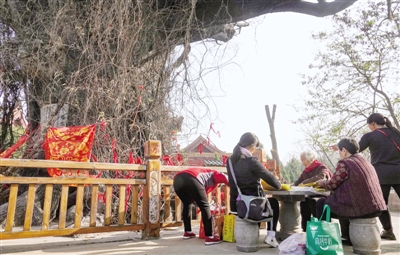 5000年历史看山西洪洞大槐树,明朝山西洪洞大槐树血泪史