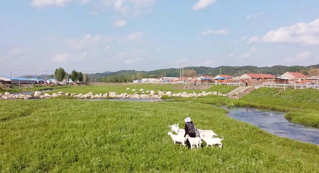 大片开演！「西丰印象」带你上天入地看遍西丰十二时辰