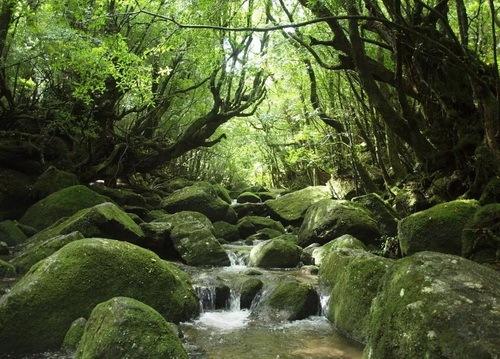 日本灌篮高手取景地打卡,灌篮高手拍照圣地