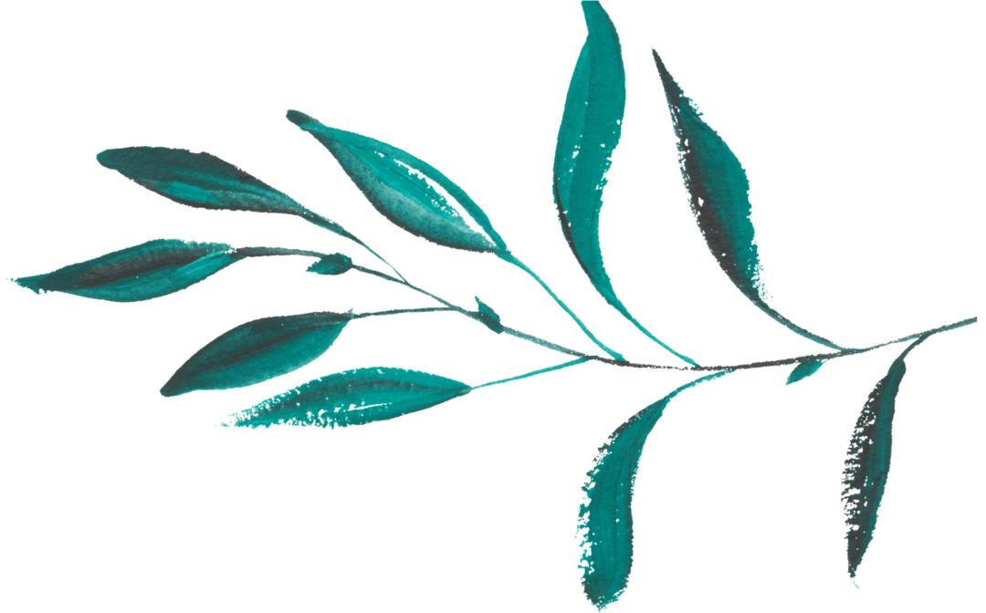 川建国系列骚操作在提示我们，国货可以买起了