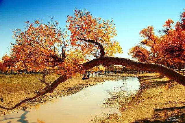 这是最值得收藏的旅行清单，顺着24节气，带娃游遍中国