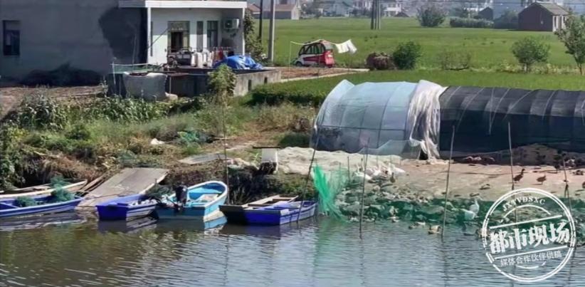 开船要有驾驶证和船牌吗,开船要驾驶证