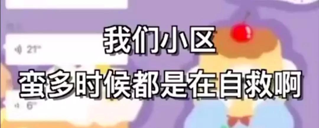 我终于看清了睡在我隔壁的人，在加入业主群30天后