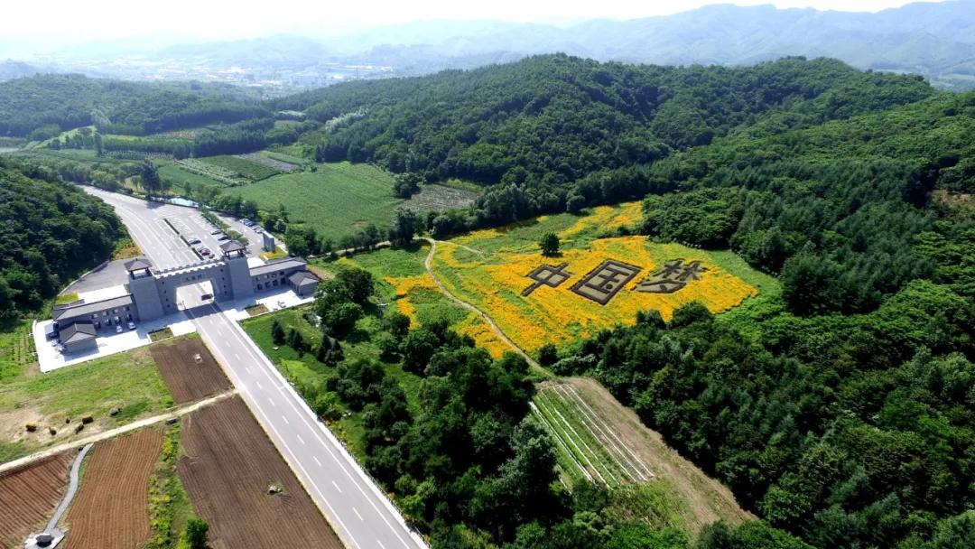 祖国颂|走进大梨树看小康