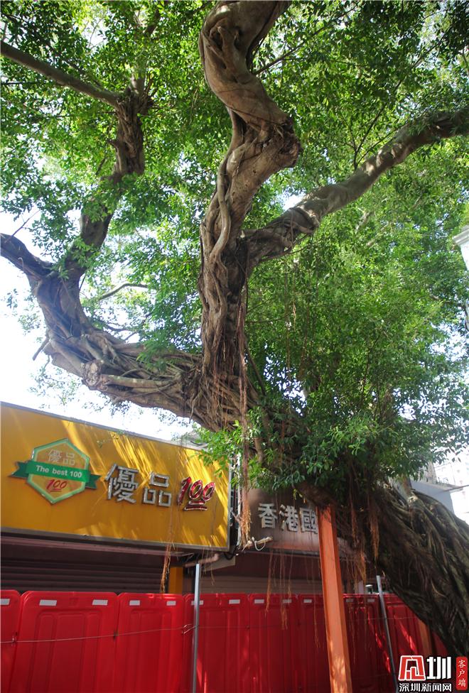 海滨栈道中英街入口,海滨栈道必须过中英街吗