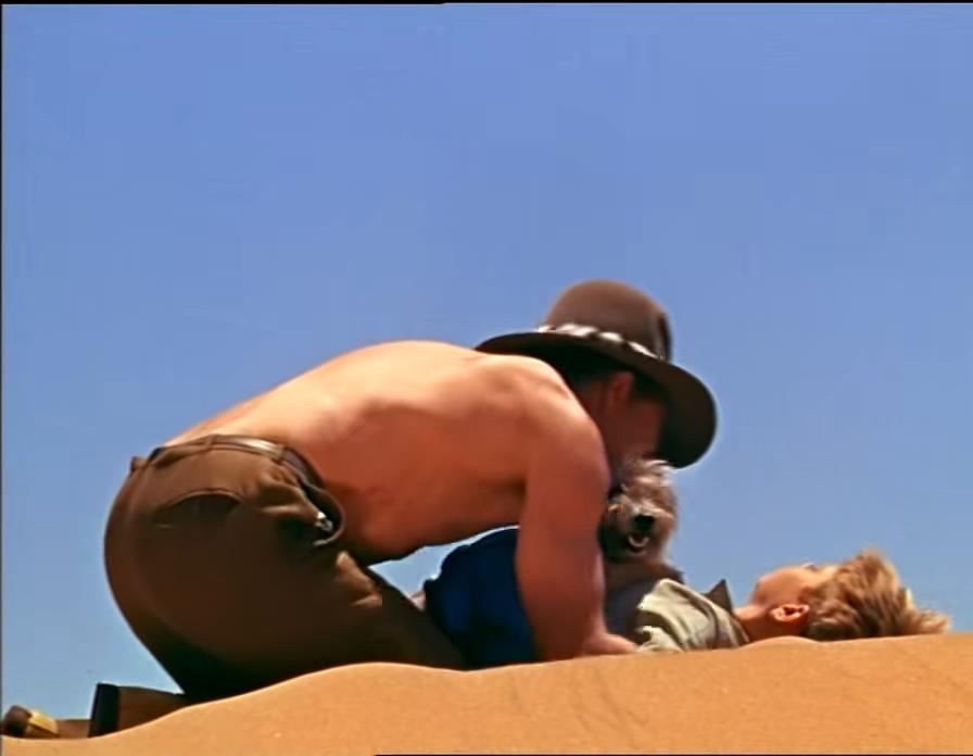 蛇咬蝎追，八岁男童如何在沙漠里生存三周？