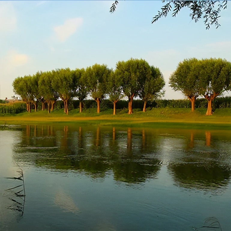 鄂尔多斯去天津最佳路线,青岛到鄂尔多斯最佳路线