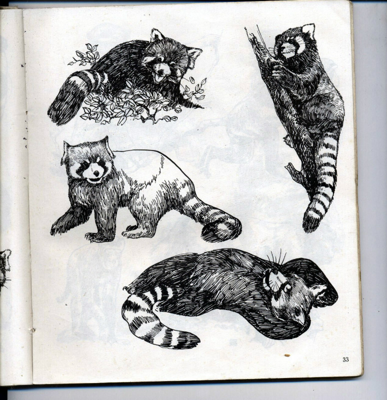 一百幅动物素描,近百幅动物画