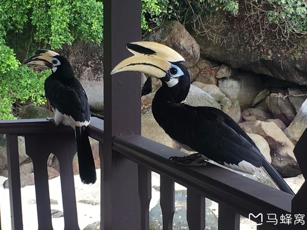 绿中海娱乐会所,绿中海旅游