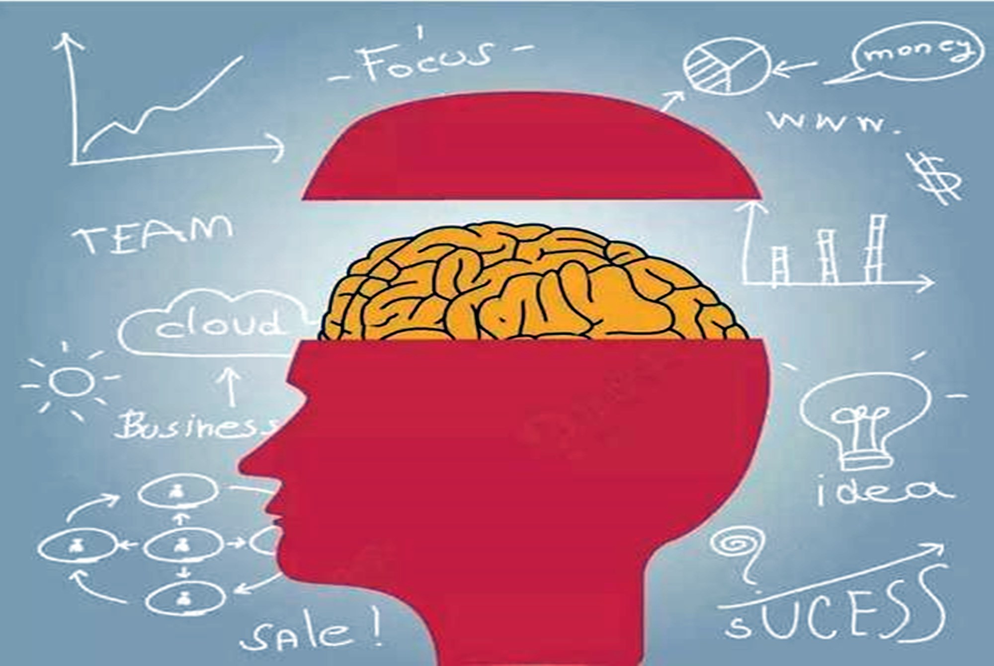 开发右脑最有效的方法,开发右脑的最佳方法